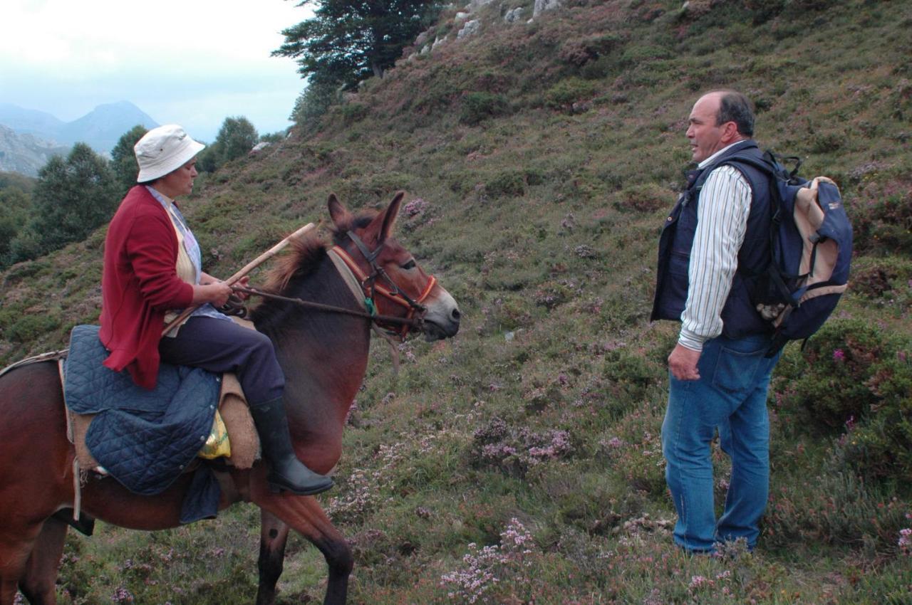 El Mirador 2* Lavín